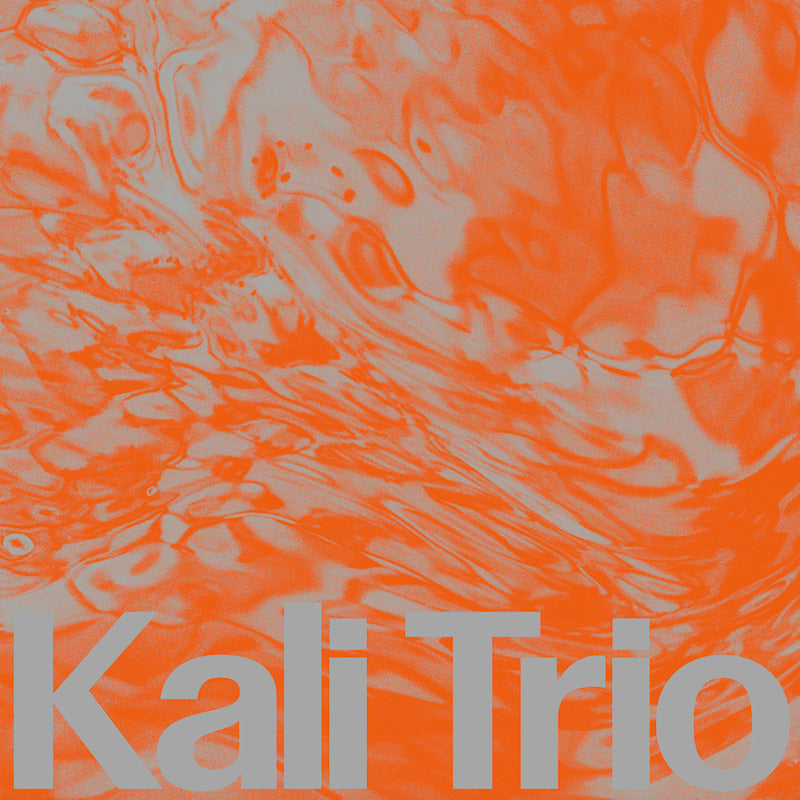 Kali Trio - The playful abstract (Digipak CD)