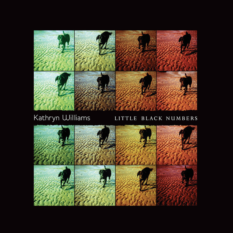 Kathryn Williams - Little black numbers (LP)