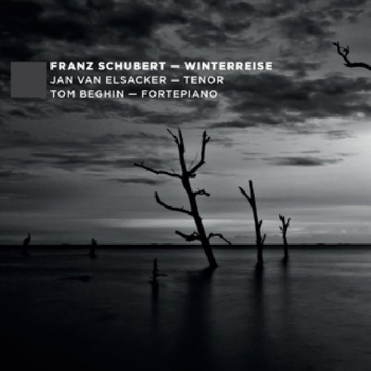 Franz Schubert - Die winterreise (Elsacker, Jan Van/Tom Beghin CD)