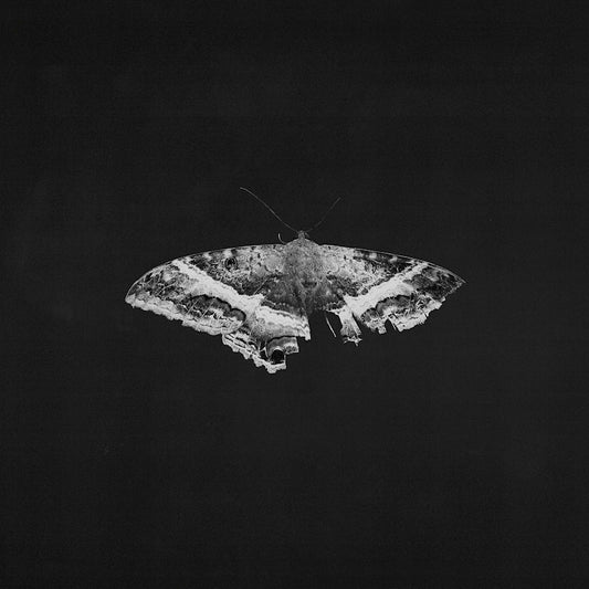 Kendrick Lamar - To pimp a butterfly (180g, High Quality, Anniversary Edition LP)