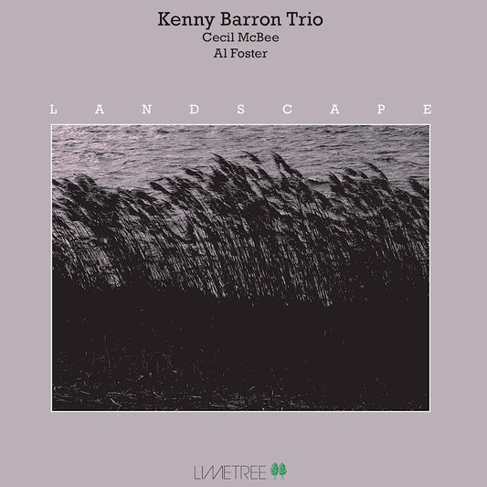 Kenny Barron Trio - Landscape (LP)