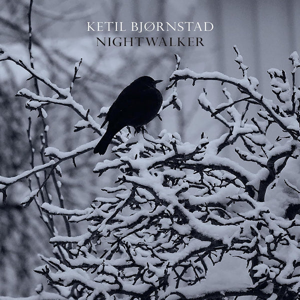 Ketil Bjornstad - Nightwalker (CD)