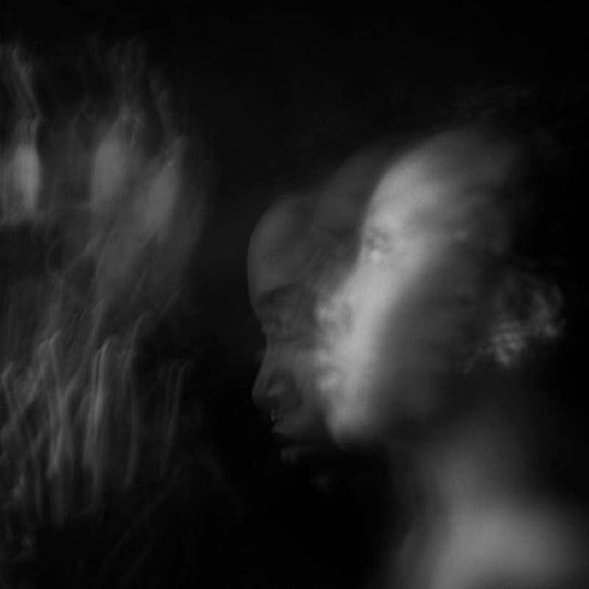 Niecy Blues - Exit simulation (LP)