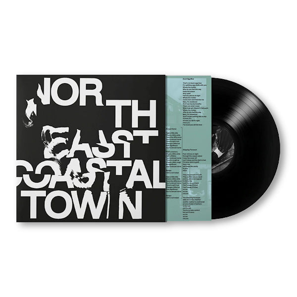 LIFE - North east coastal town (LP)