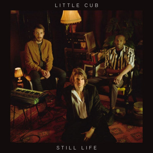 Little Cub - Still life (Heavyweight Black Vinyl W Download Card LP)