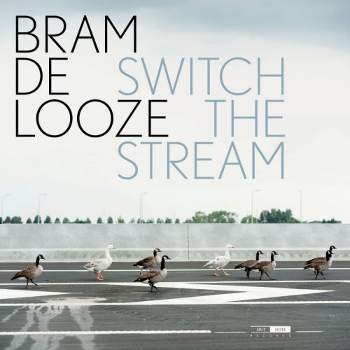 Bram De Looze - Switch the stream (Ft. Chris Maene CD)