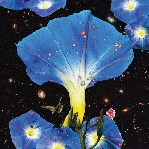Sarah Louise - Nighttime birds and morning stars (LP)