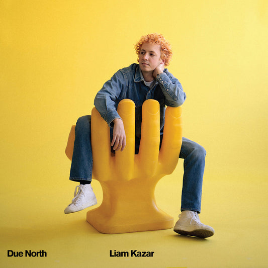Liam Kazar - Due north (LP)