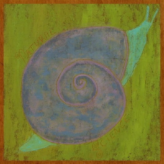 Lindsay Reamer - Natural science (LP)