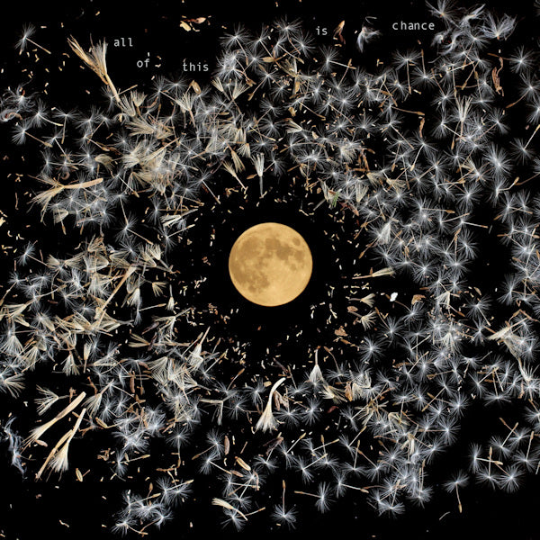 Lisa O'Neill - All of this is chance (LP)