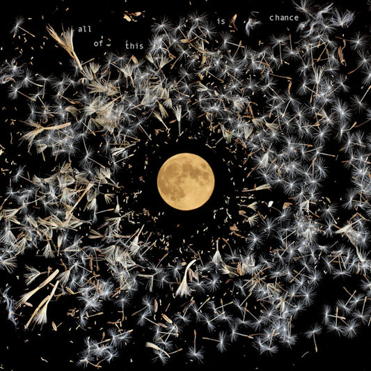 Lisa O'Neill - All of this is chance (CD)