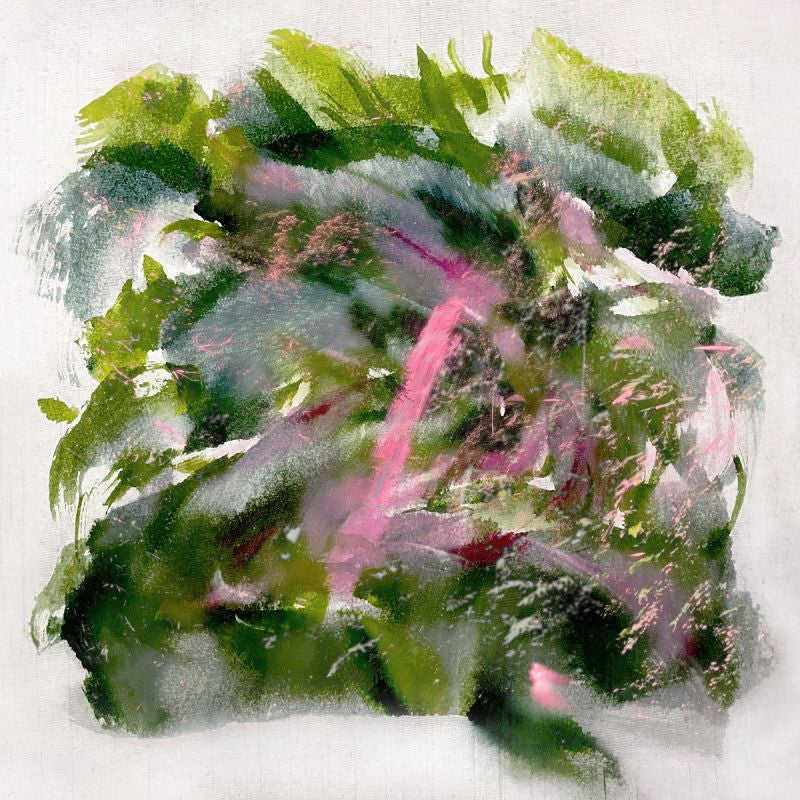 Mizu - Forest scenes (Pink Red, Coloured Vinyl LP)