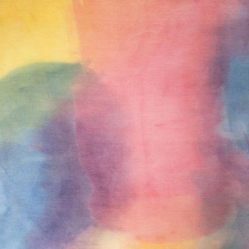 Modern Studies - Weight of the sun (CD)