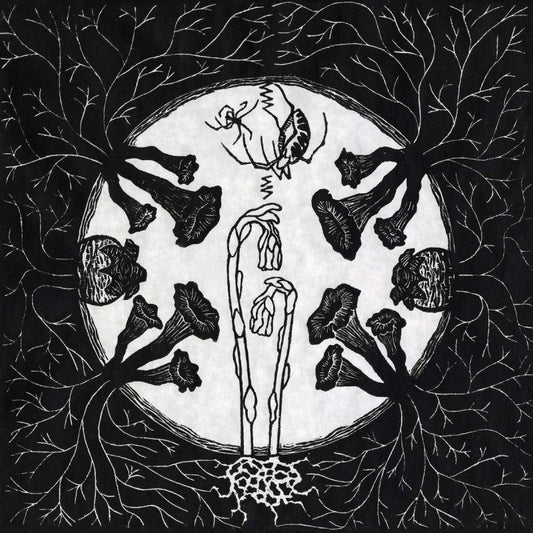 Magic Tuber Stringband - Tarantism (LP)