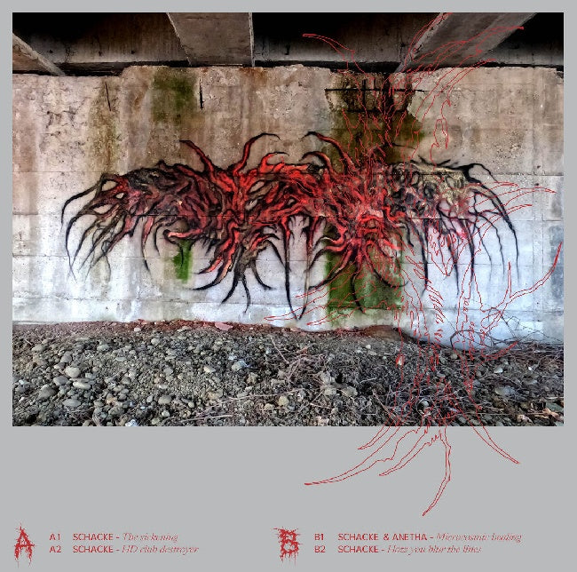 Schacke & Anetha - Looks are deceiving (12-inch maxi-single)