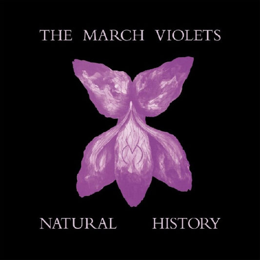 March Violets, The - Natural History (LP)
