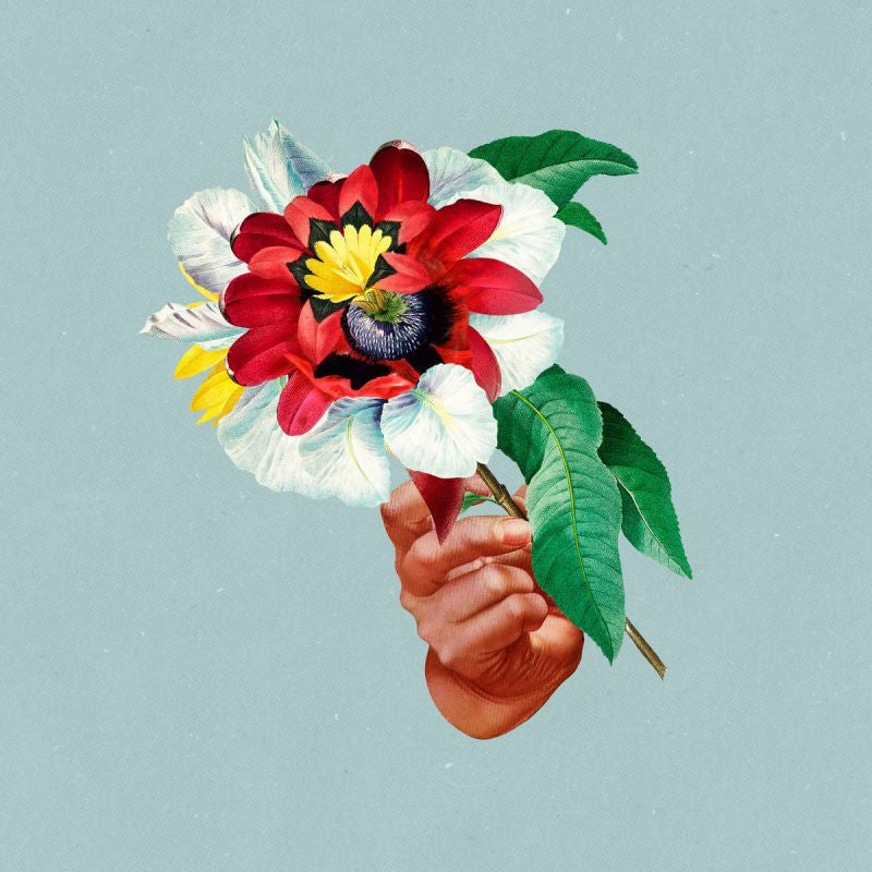 Maribou State - Kingdoms in colour (4281411 LP)