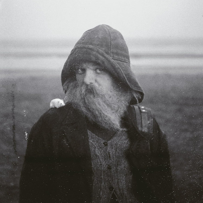 Mary In The Junkyard - Role model hermit (LP)