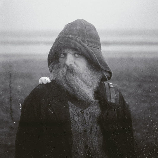 Mary In The Junkyard - Role model hermit (CD)