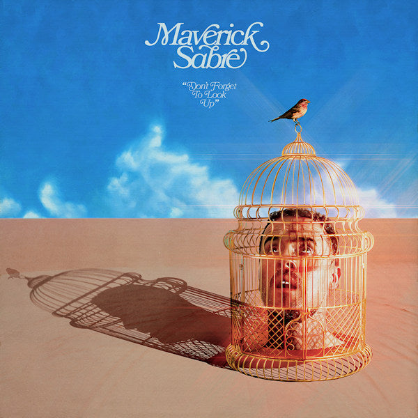 Maverick Sabre - Don't forget to look up -gatefold- (.. To Look Up, Gatefold Sleeve LP)