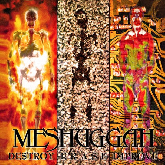 Meshuggah - Destroy erase improve (LP)