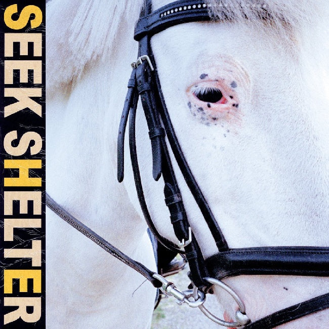 Iceage - Seek shelter (Transparent Orange Vinyl, Coloured Vinyl LP)