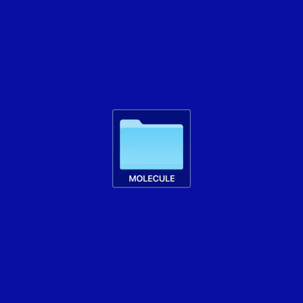 Molecule - Re-201 (LP)