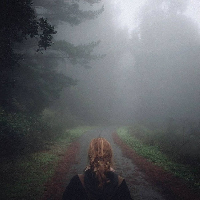 Mono - Under the pipal tree iridescent forest night) (LP)