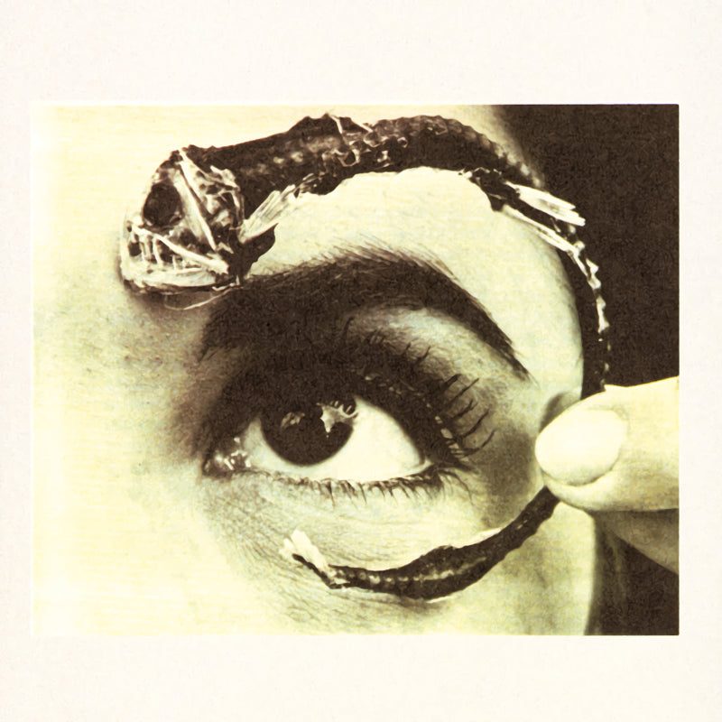 Mr. Bungle - Disco volante (CD)