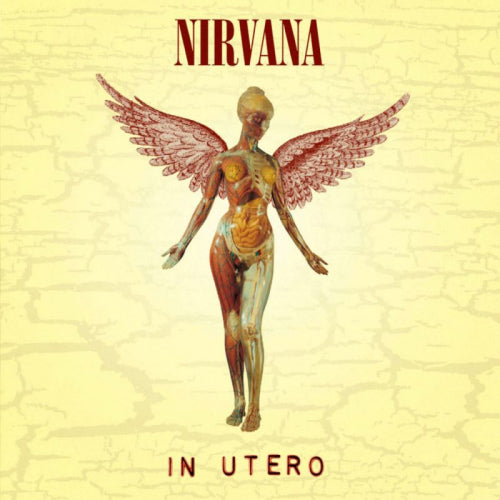 Nirvana - In utero -20th anniversary edition (.. Anniversary Edition // Remastered CD)