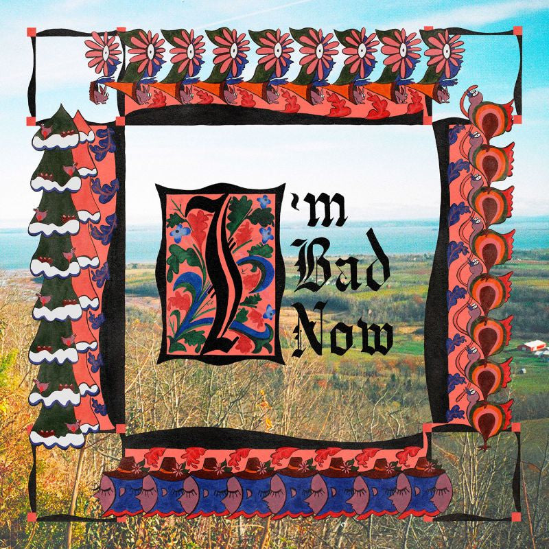 Nap Eyes - I'm bad now (CD)