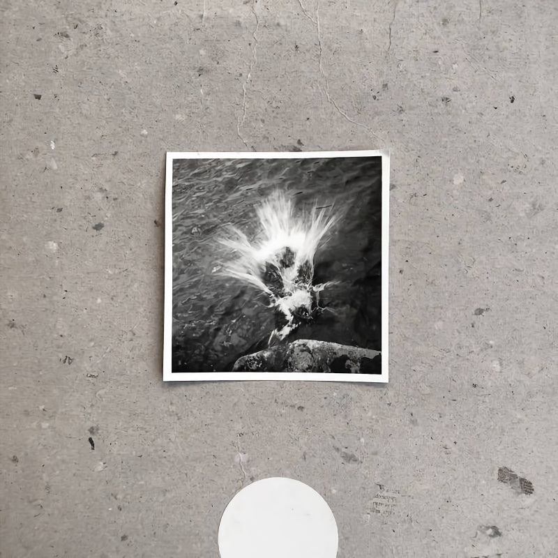 Nils Frahm - Empty (LP)