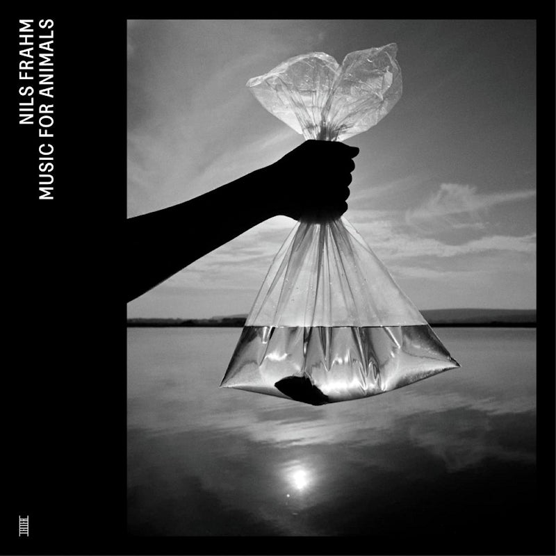 Nils Frahm - Music for animals (CD)