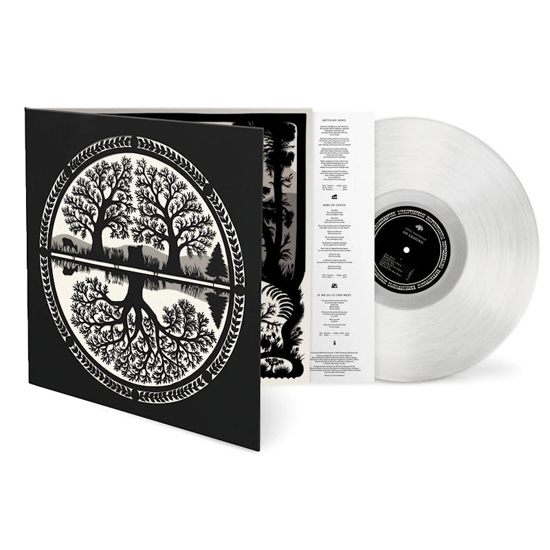 Nina Nastasia - On leaving (glass) (Coloured Vinyl LP)