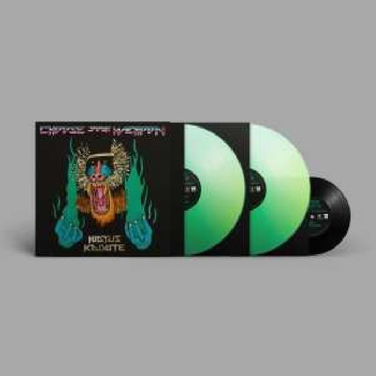 Hiatus Kaiyote - Choose your weapon (LP)