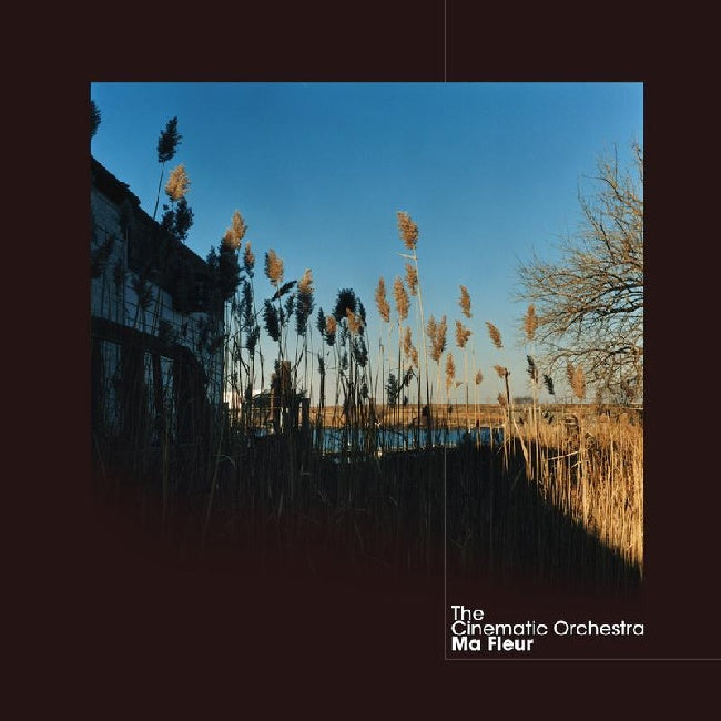 Cinematic Orchestra - Ma fleur (LP)