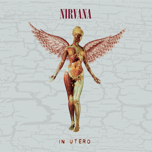 Nirvana - In utero -2023 reissue- (5945796 CD)
