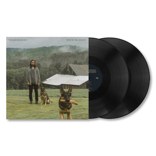 Noah Kahan - Stick season (4649506 LP)