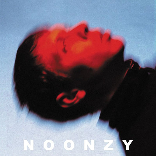 Noonzy - Plan is bad (LP)
