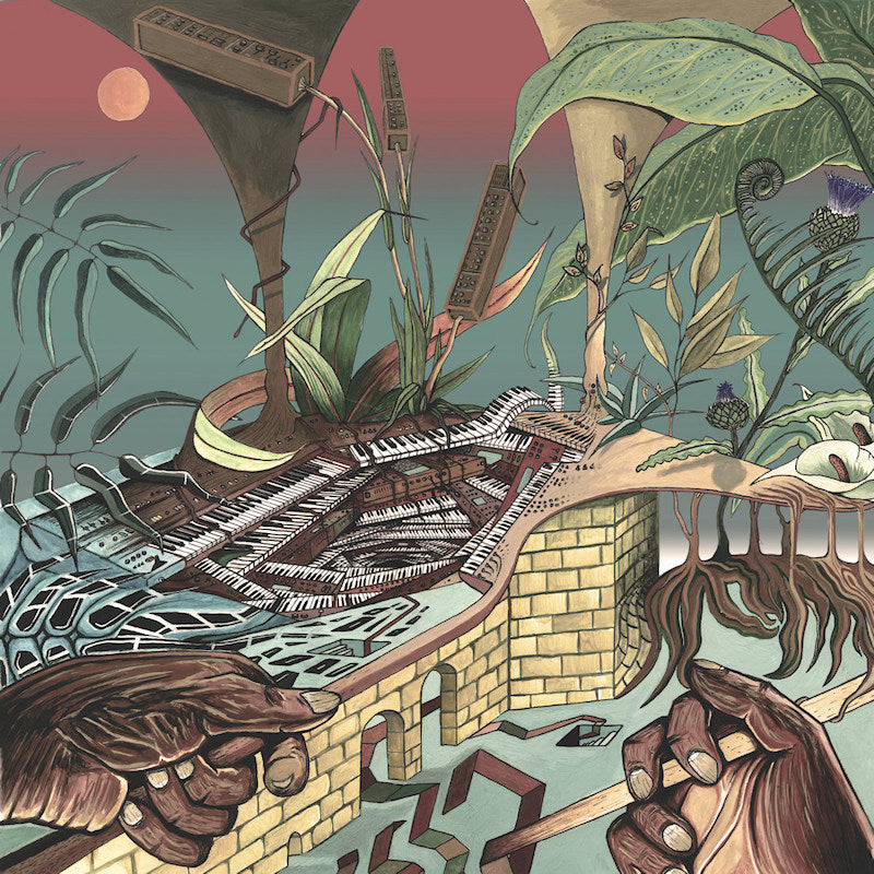 Nu Guinea - Tony allen experiments (LP)