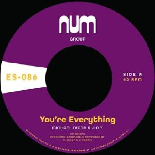 Michael A. Dixon & J.o.y - 7-you're everything (12-inch maxi-single)