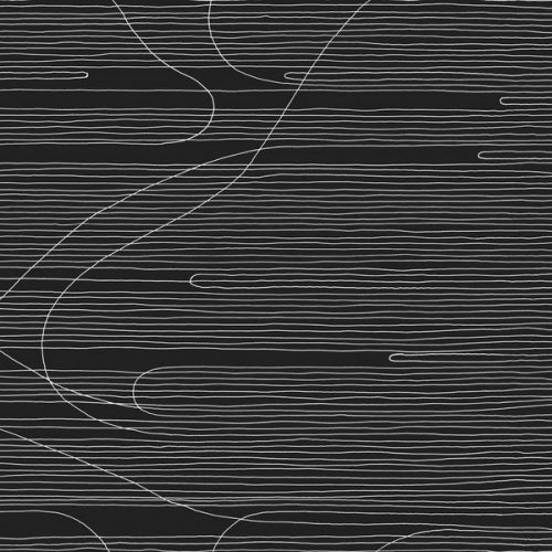 Oneida - Absolute ii (LP)