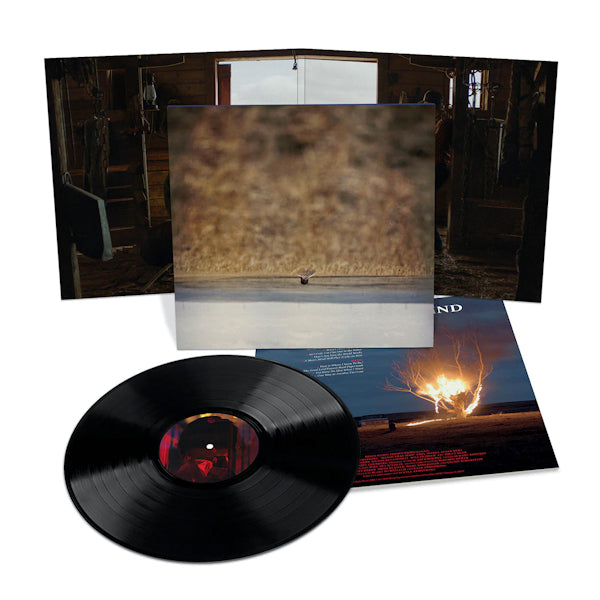 Jim O'rourke - Hands that bind (.. Original Motion Picture Soundtrack LP)