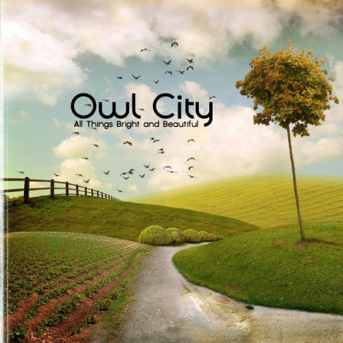 Owl City - All things bright and beautiful (LP)