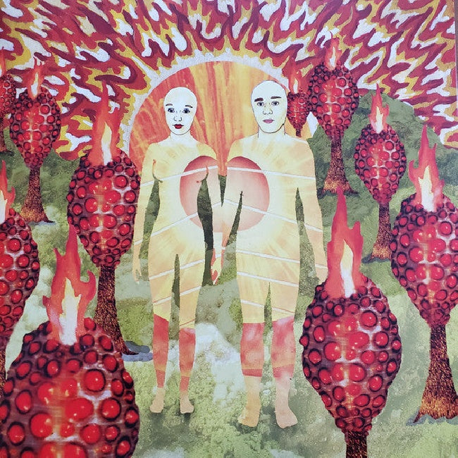 Of Montreal - Sunlandic twins (Twins.. / Red & Orange Swirl Vinyl, Coloured Vinyl LP)