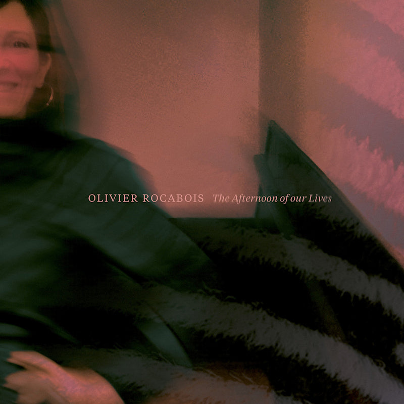 Olivier Rocabois - The afternoon of our lives (CD)