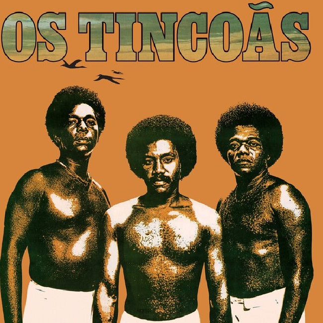 Os Tincoas - Os tincoas (LP)