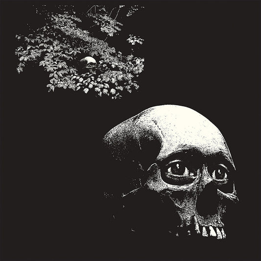 Osees - A foul form (4634056 LP)