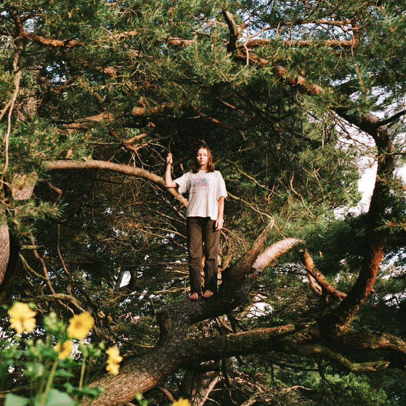 PACKS - Melt the honey (Gold Coloured Vinyl, Coloured Vinyl LP)