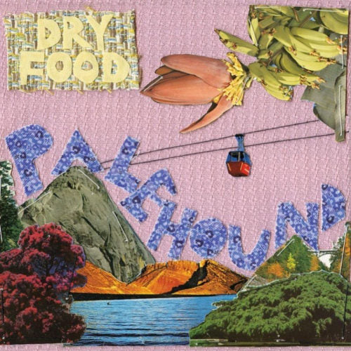 Palehound - Dry food (CD)